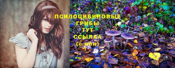 МДПВ Кулебаки